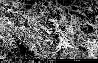 Graphite Multi-wall Carbon Nanotubes